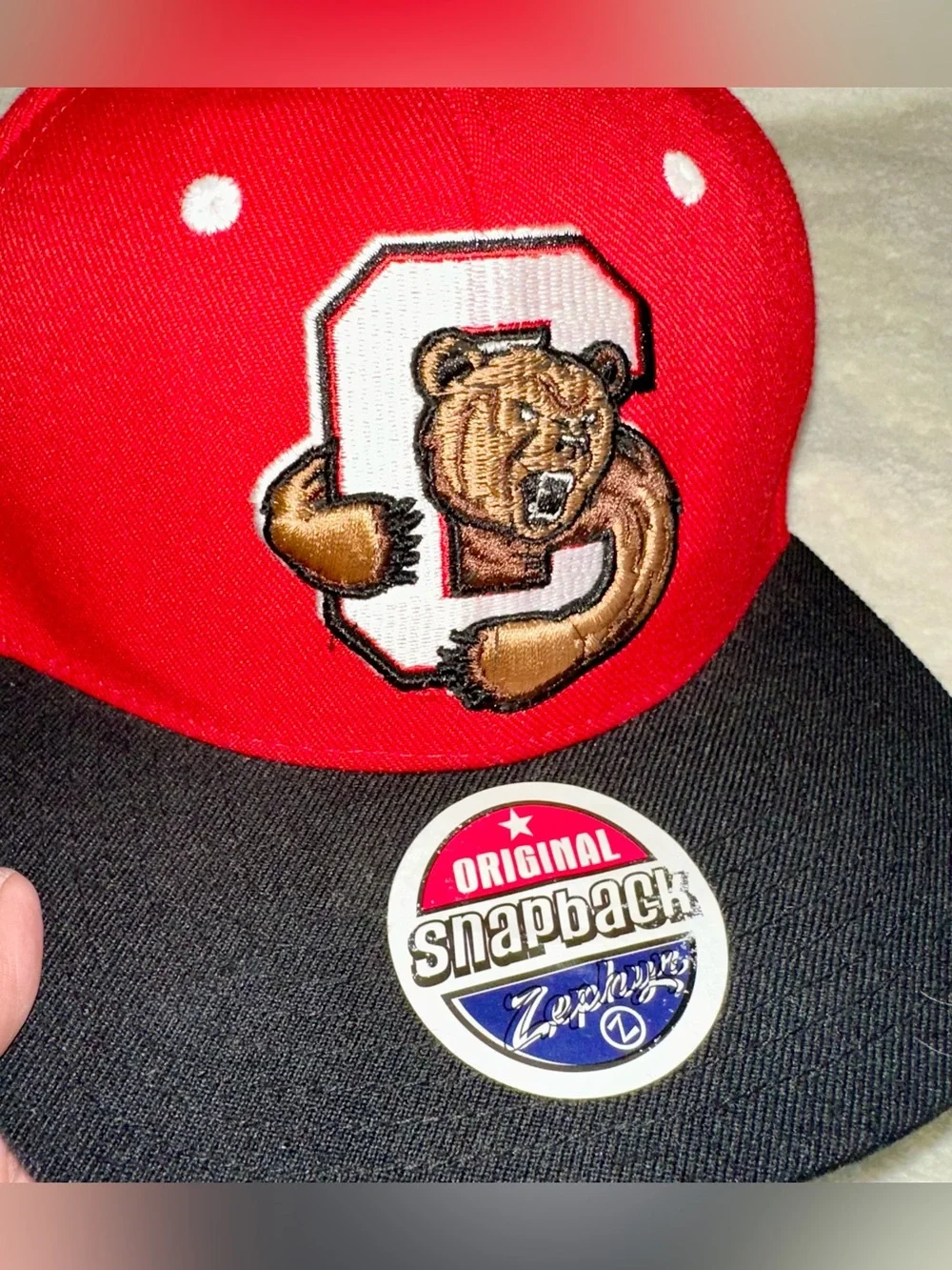 Vtg Zephyr Cornell Big Red Lacrosse Snapback Hat Cap Green Underbrim Y2K 90s